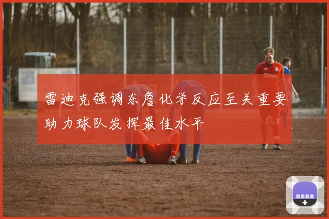 雷迪克强调东詹化学反应至关重要助力球队发挥最佳水平