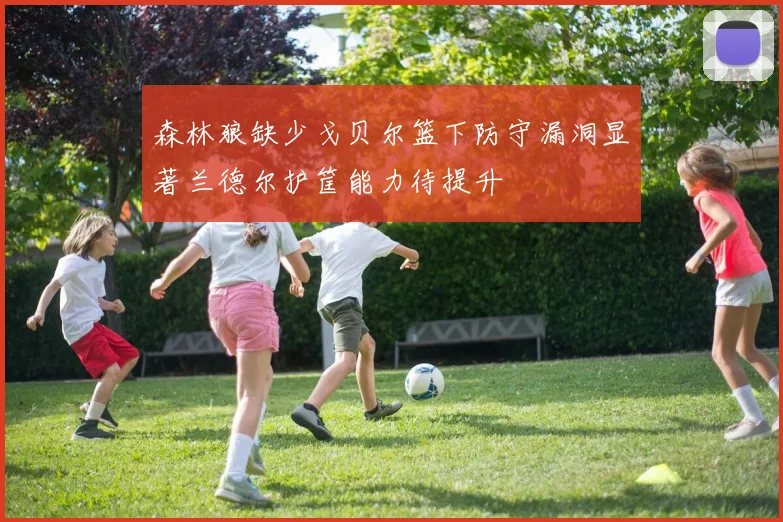 森林狼缺少戈贝尔篮下防守漏洞显著兰德尔护筐能力待提升